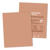 Laundry Detergent Sheets Unbranded